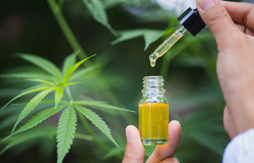 Shopping for the CBD Oil for the Goodness in Health