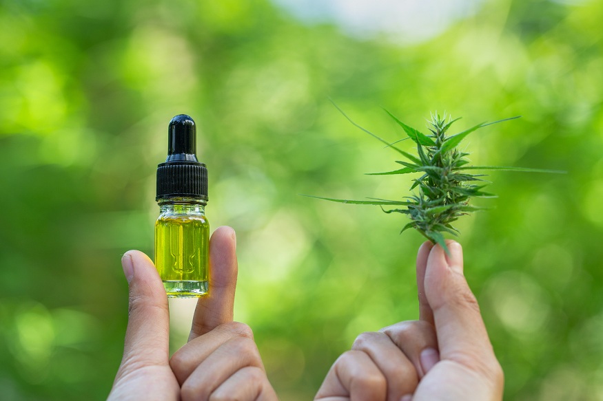 CBD Oils vs. Other CBD Products: Why Premium Quality Matters
